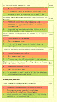 This is Section 4 of the Self Assessment Questionnaire used at the end of the Electrical Safety Management course to highlight areas that may need attention.
