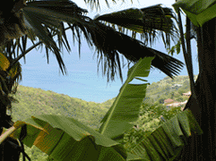 A coastal scene on the beautiful island of Montserrat, taken by our instructor - click to download a high res jpeg