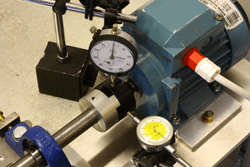 The candidates begin by .