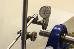 The candidates begin by .